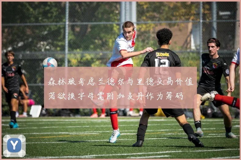 森林狼考虑兰德尔与里德交易价值若欲换字母需附加麦丹作为筹码