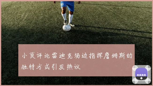 小莫评论雷迪克场边指挥詹姆斯的独特方式引发热议