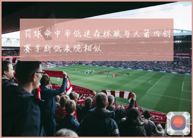罚球命中率低迷森林狼与火箭均创赛季新低表现相似