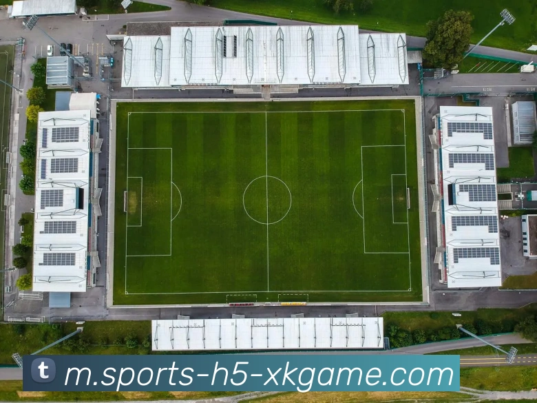 多媒体互动体验